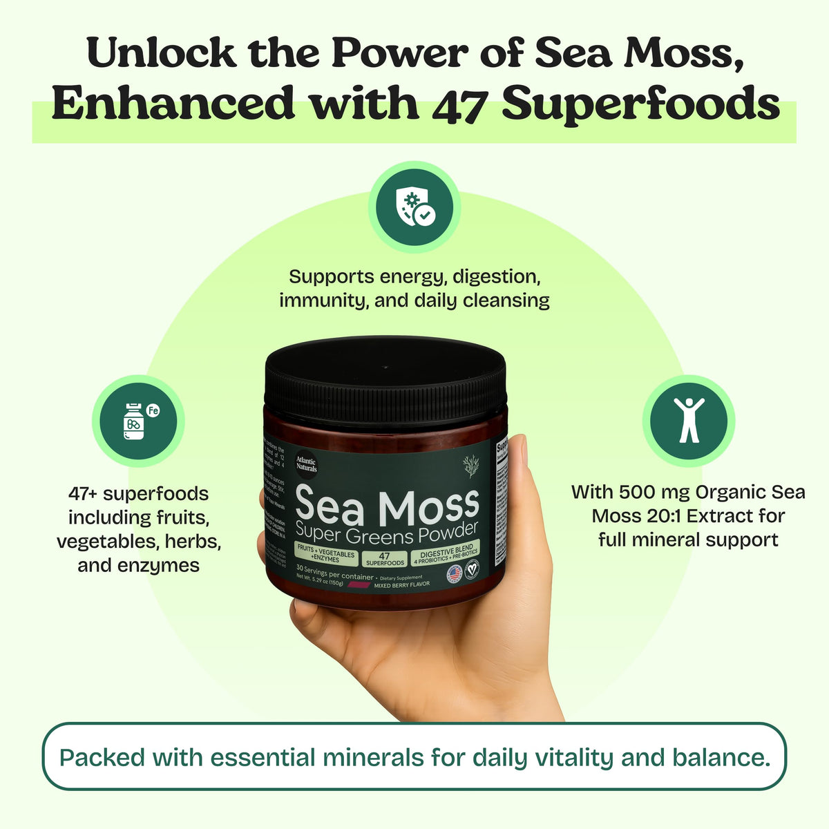 Scoop de poudre de super greens Atlantic Naturals pour dosage