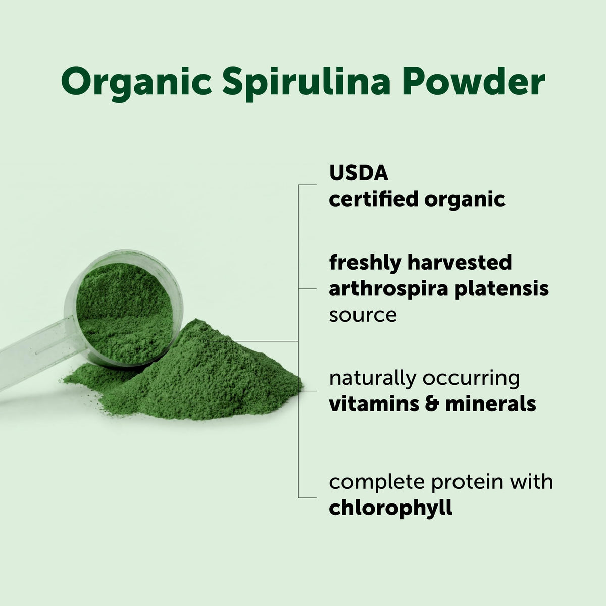 Scoop inclus dans le sachet de spiruline bio Micro Ingredients
