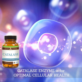 Script Essentials Catalase complément alimentaire avec des ingrédients naturels en arrière-plan