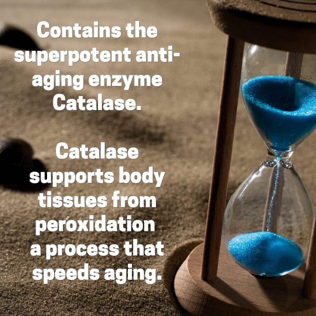 Script Essentials Catalase complément alimentaire, vue arrière de l'emballage