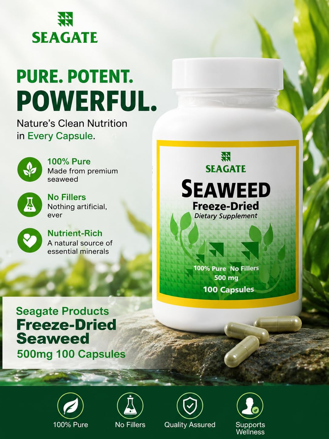 Seagate Algues Déshydratées 500 mg 100 Capsules - vue de dos
