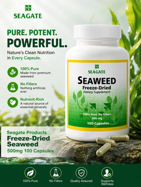 Seagate Algues Déshydratées 500 mg 100 Capsules - vue de dos