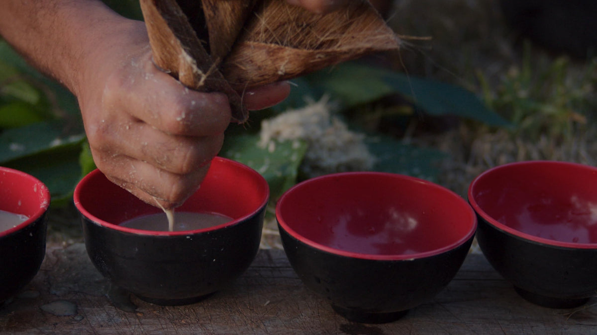 SeBotanicals Kava Kava en Poudre Cérémonial 8oz en utilisation