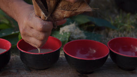 SeBotanicals Kava Kava en Poudre Cérémonial 8oz en utilisation
