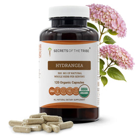 Secrets of the Tribe capsules d'hydrangea bio 120 unités, vue de face