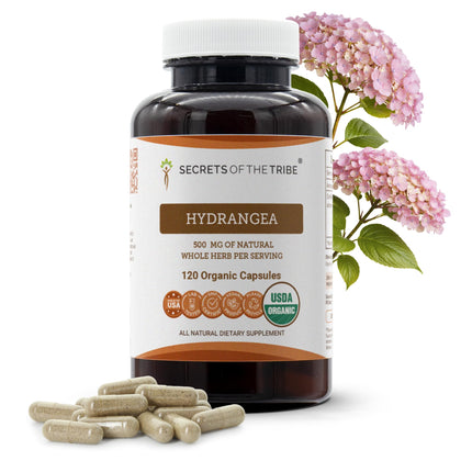 Secrets of the Tribe capsules d'hydrangea bio 120 unités, vue de face