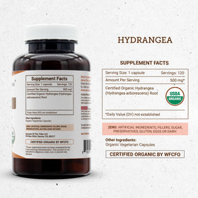 Secrets of the Tribe capsules d'hydrangea bio sur un fond naturel