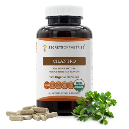 Secrets of the Tribe Capsules de Coriandre Bio 120 Comp. vue de face