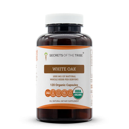 Secrets of the Tribe Chêne Blanc Bio 120 Capsules, vue de face