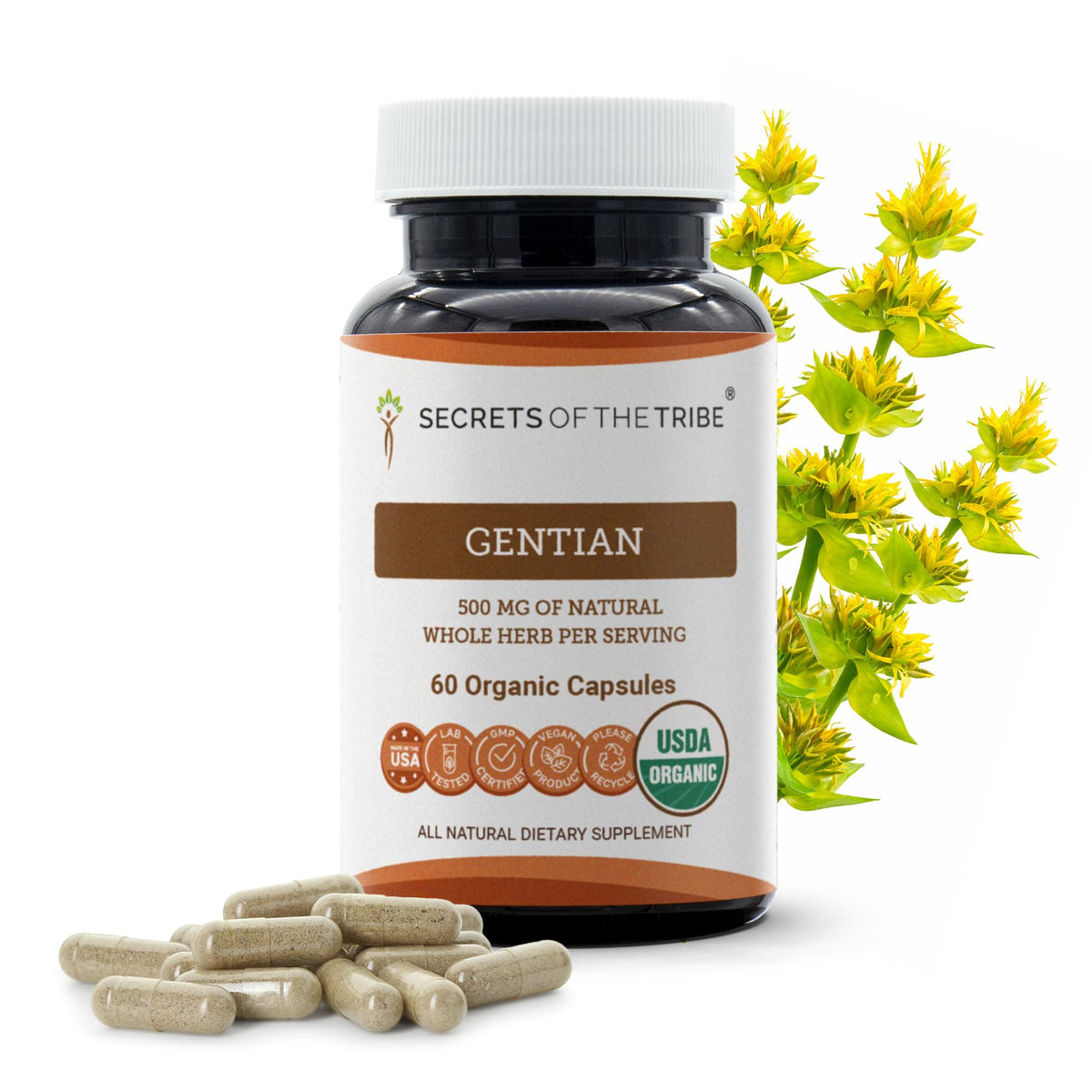 Secrets of the Tribe Gentiane Capsules Bio 60 Comp. vue avant