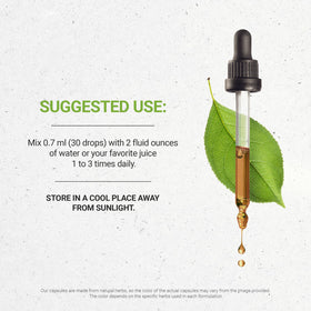 Secrets of the Tribe Gotu Kola Extrait Bio 60ml côté