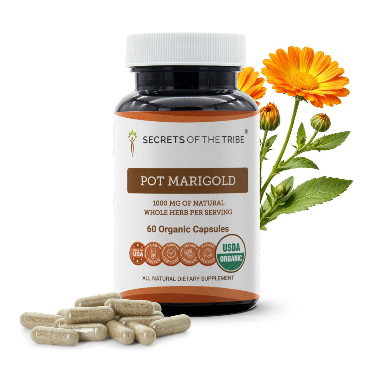 Secrets of the Tribe Souci Bio 60 Capsules vue de face