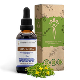 Secrets of the Tribe Tincture de Chaparral 60 ml vue de face