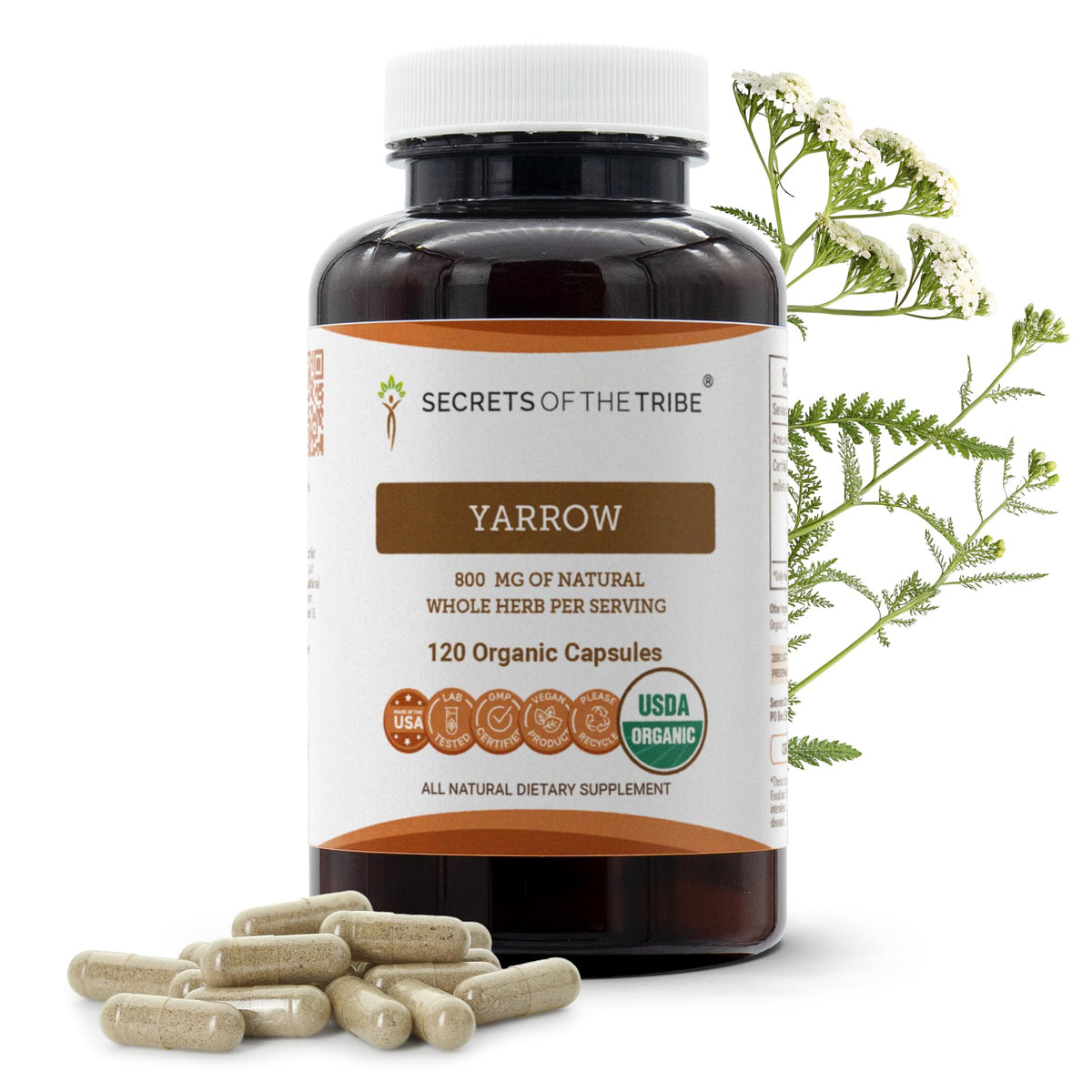 Secrets of the Tribe Yarrow 120 capsules végétariennes en flacon