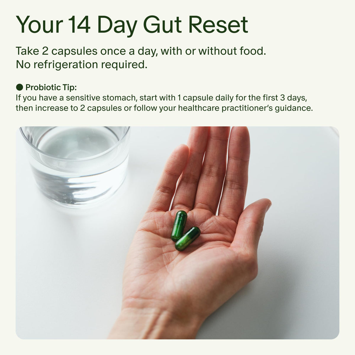 Seed 14 Day Gut Reset capsules sur une table