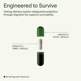 Seed DS-01 Synbiotique Quotidien capsules sur fond blanc