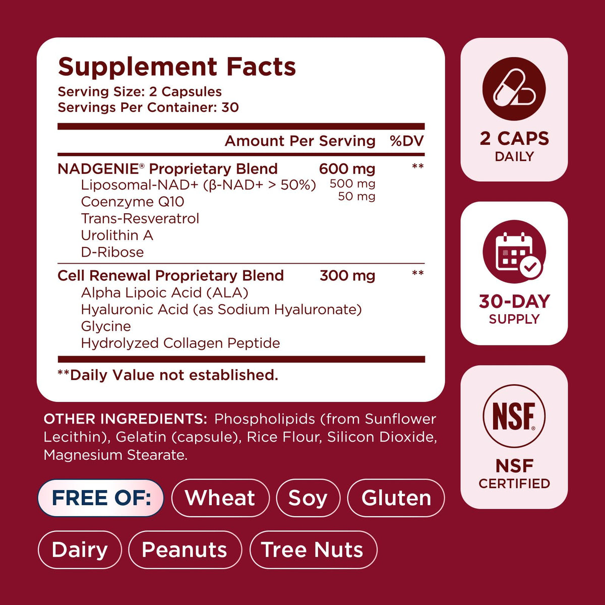 Selerb Complément Alimentaire NAD+ Femme 60 Capsules vue supérieure