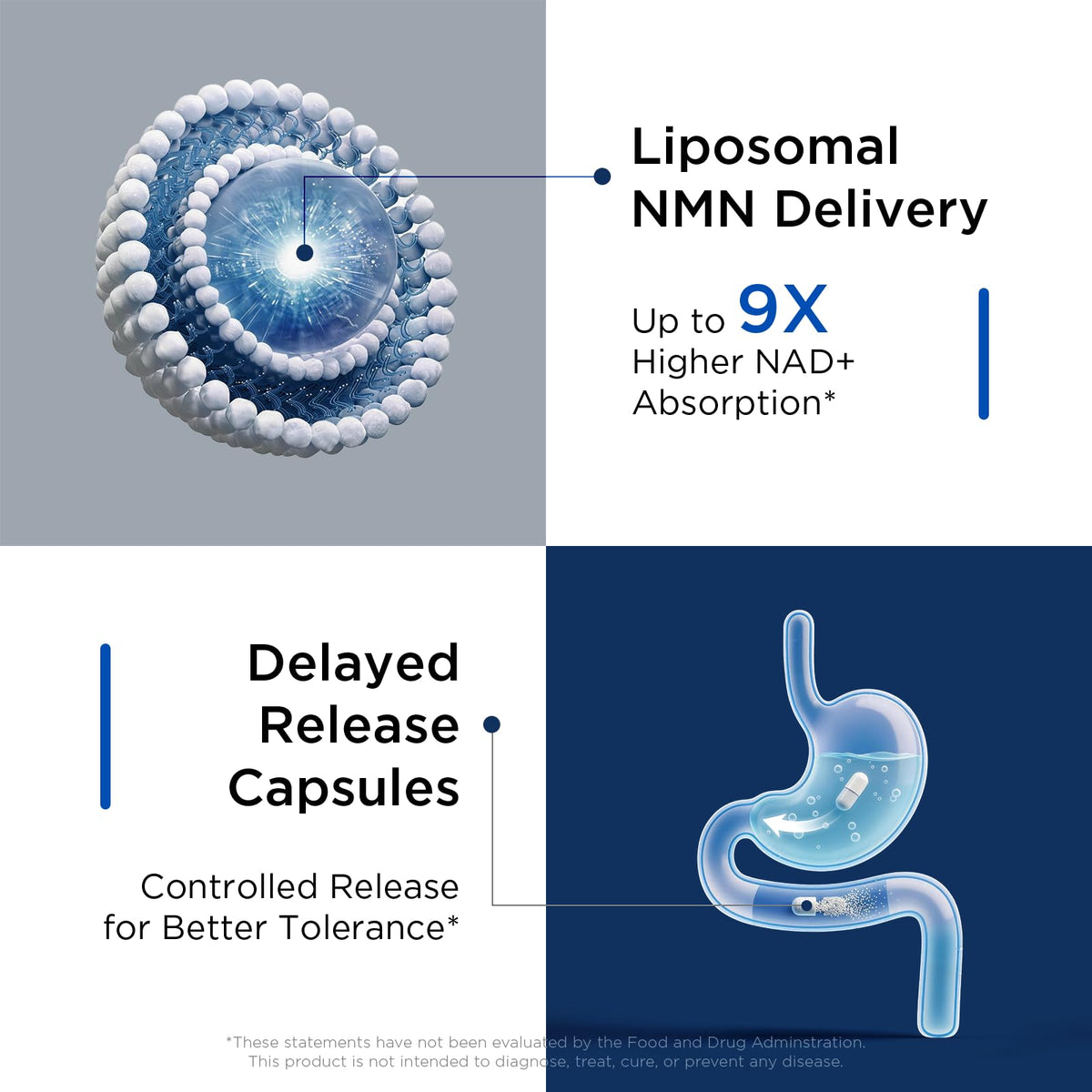 Selerb NMN Liposomal 500 mg avec ingrédients listés