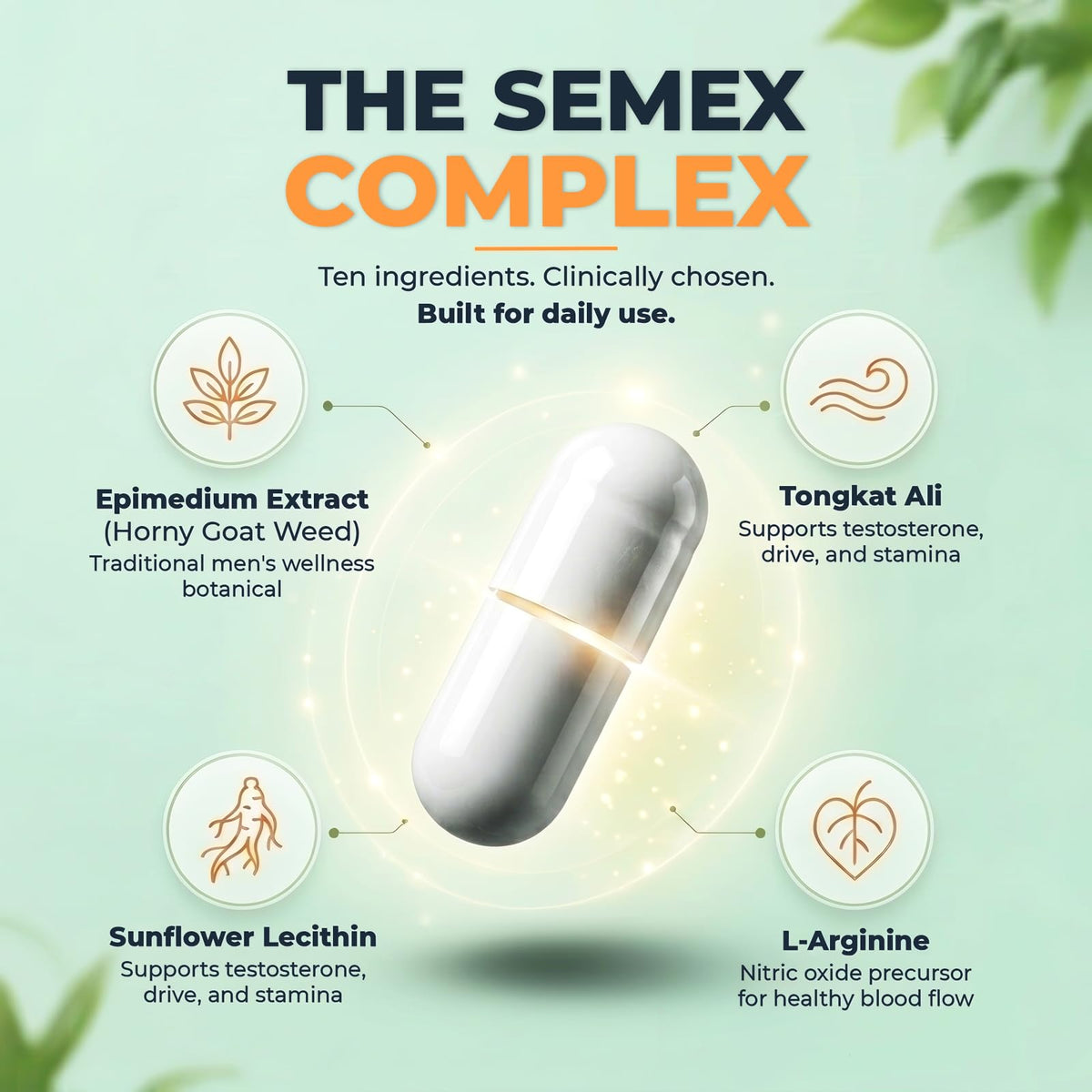 SEMEX™ Volume support de Newt avec étiquette détaillant les ingrédients