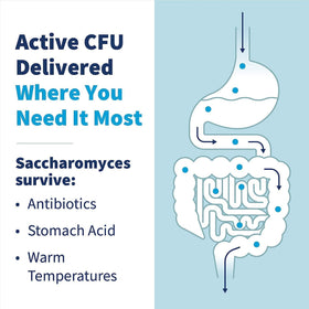 SFI Health Poudre Pure Saccharomyces Boulardii 180g vue arrière