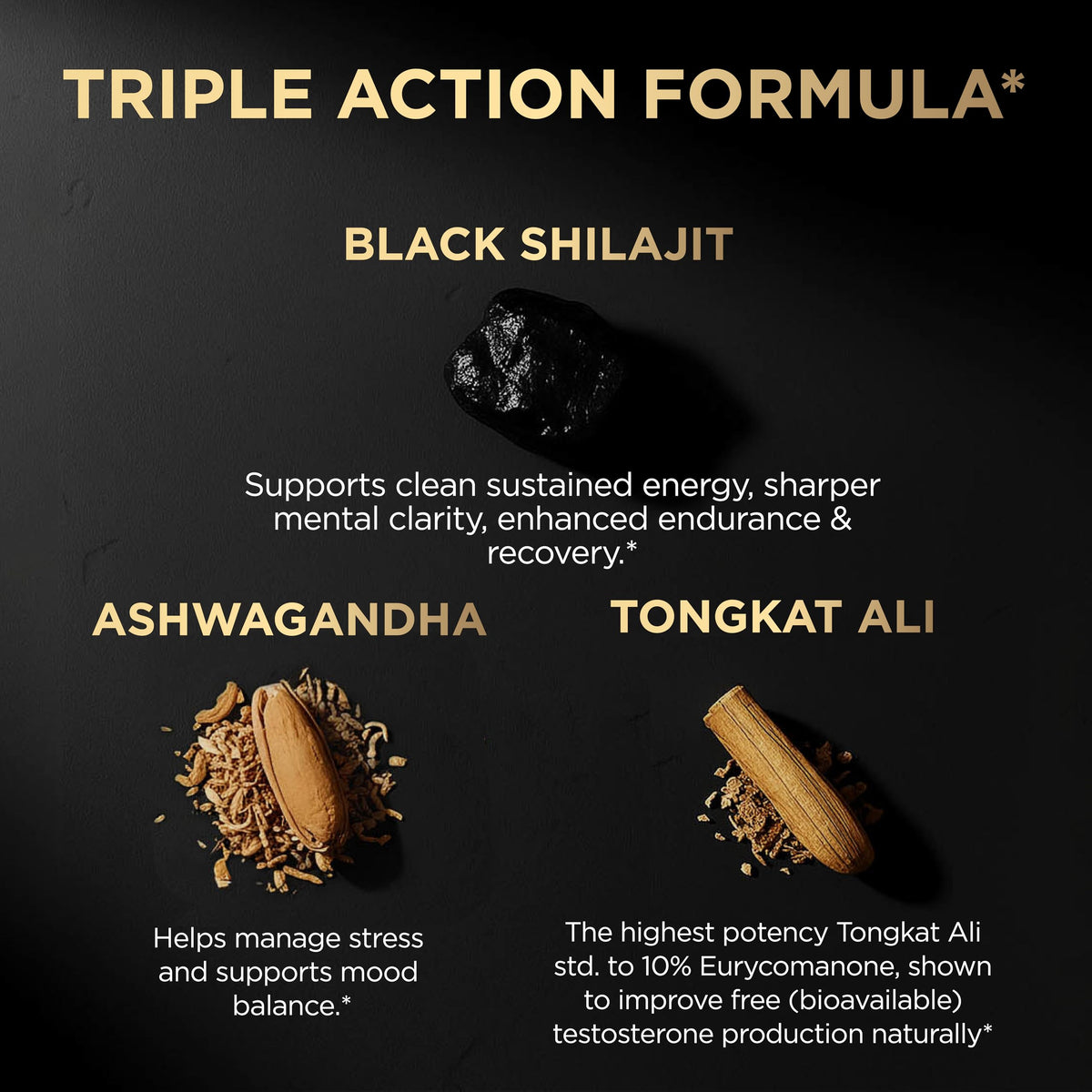 Shilajit Noir 100x TERRA ELMNT en gros plan sur table
