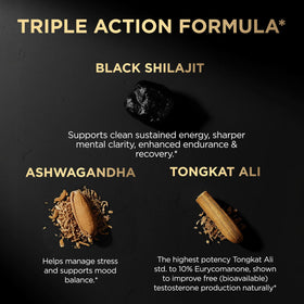 Shilajit Noir 100x TERRA ELMNT en gros plan sur table