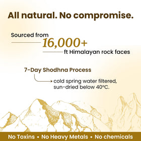 Shilajit Pur Himalayen dans un environnement naturel