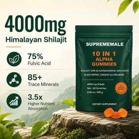 Shilajit WXDOAU 91g avec accessoire