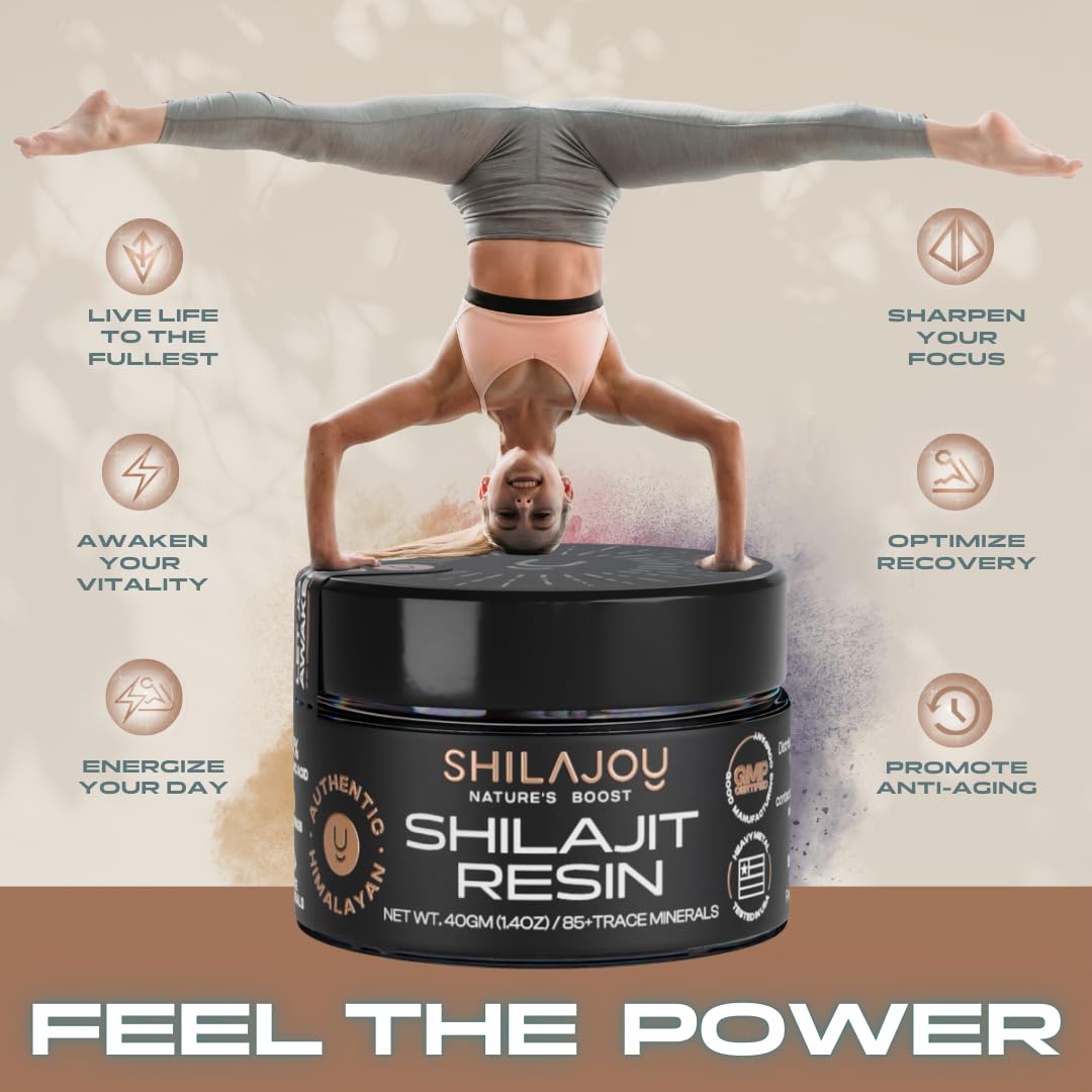 SHILAJOY Résine de Shilajit Organique 40g dans un bol