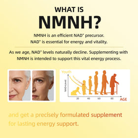 Shumol NMNH 240 gélules 500 mg prise quotidienne