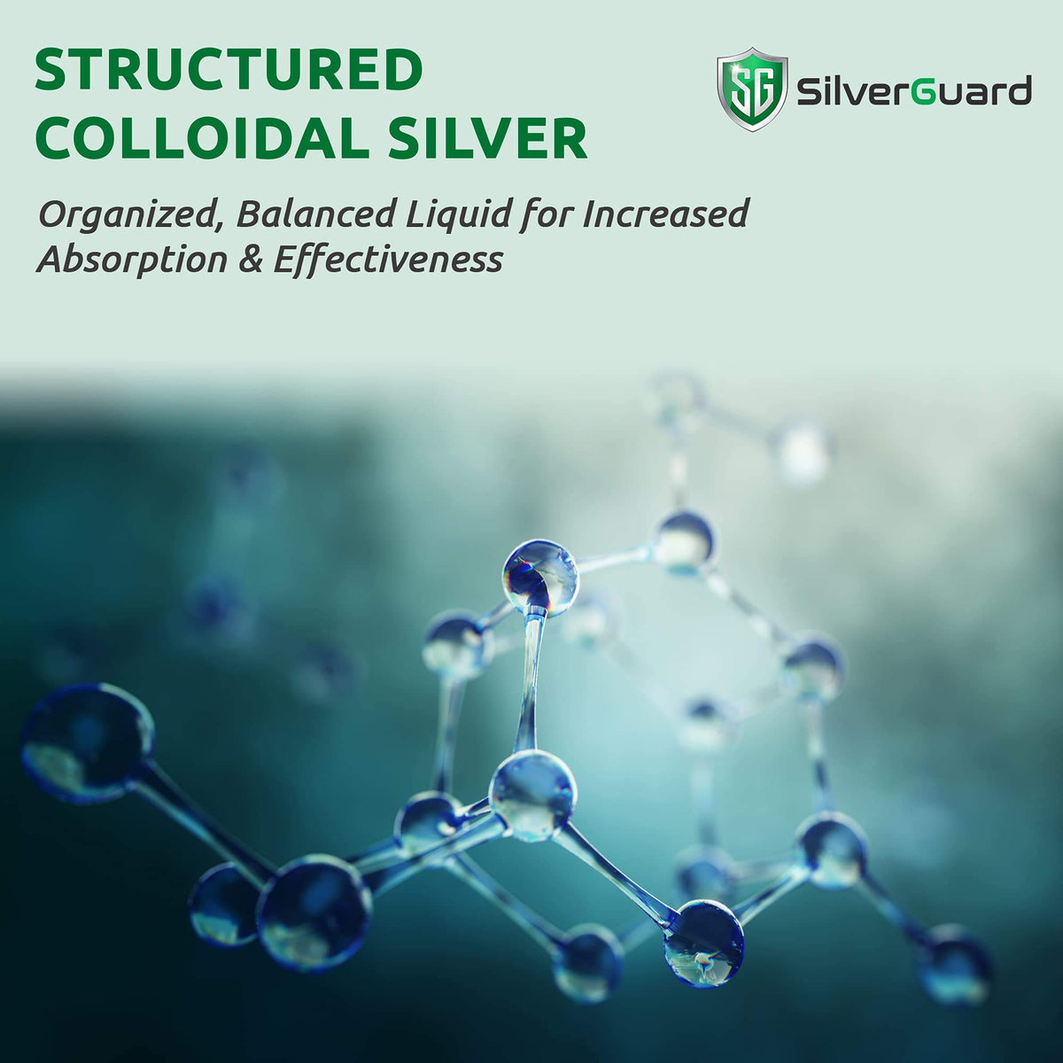 SilverGuard Colloidal Silver Liquide 30 PPM flacon avec bouchon