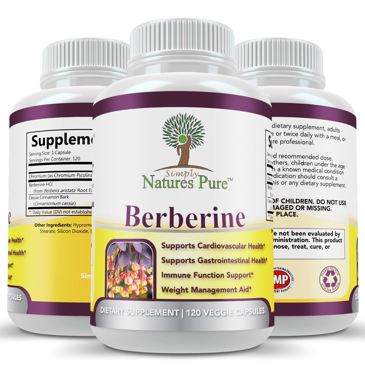 Simply Natures Pure Berberine HCl 500mg 120 Capsules vue arrière