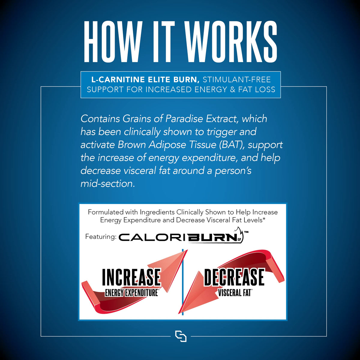 SIRENLABS L-Carnitine Elite Burn Malibu Beach Blast goût