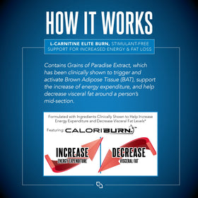SIRENLABS L-Carnitine Elite Burn Malibu Beach Blast goût