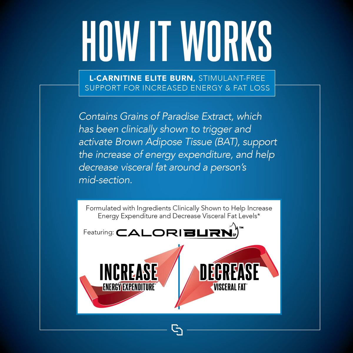 SIRENLABS L-Carnitine Elite Burn produit sur une table de gym