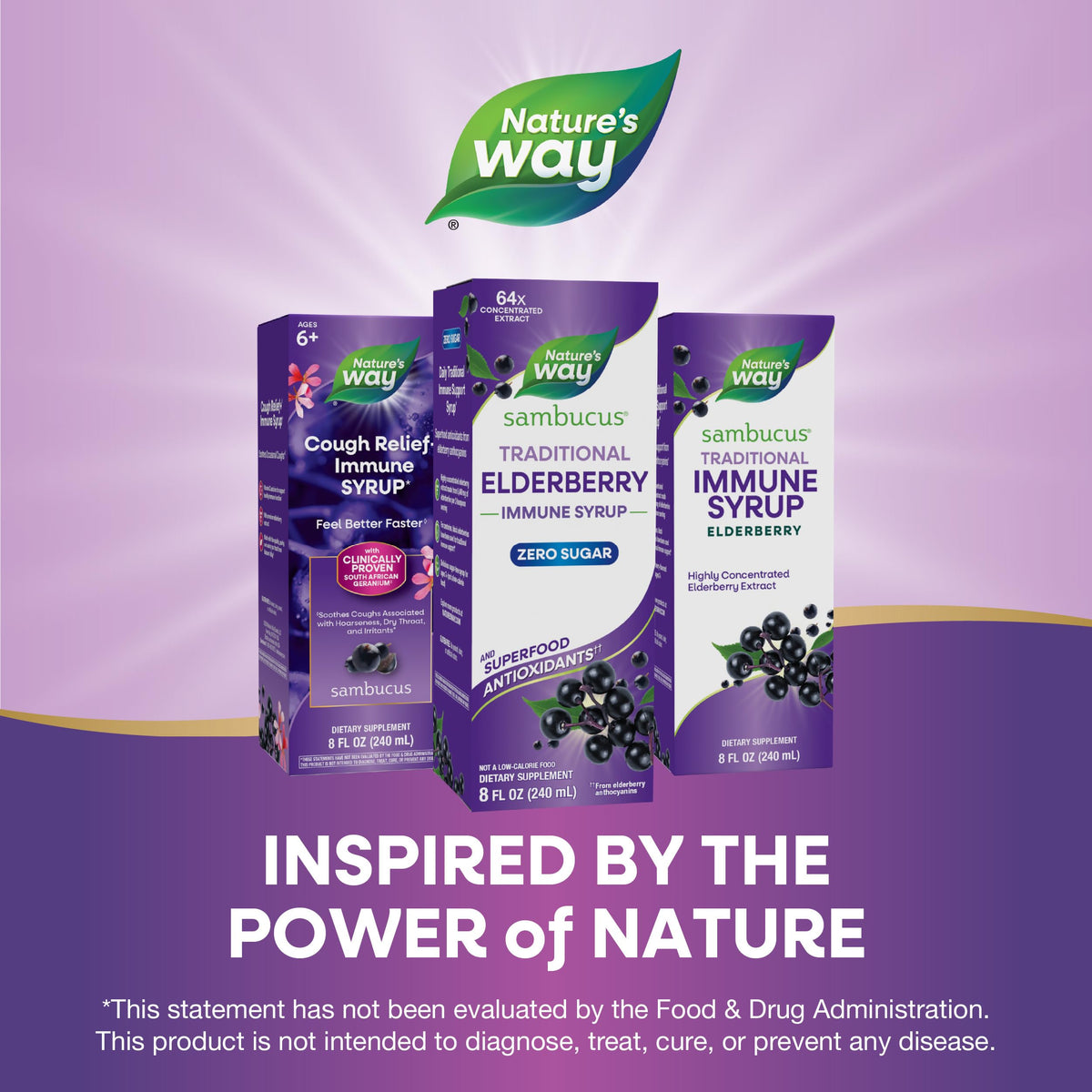 Sirop de Sureau Nature's Way avec baies fraîches en arrière-plan