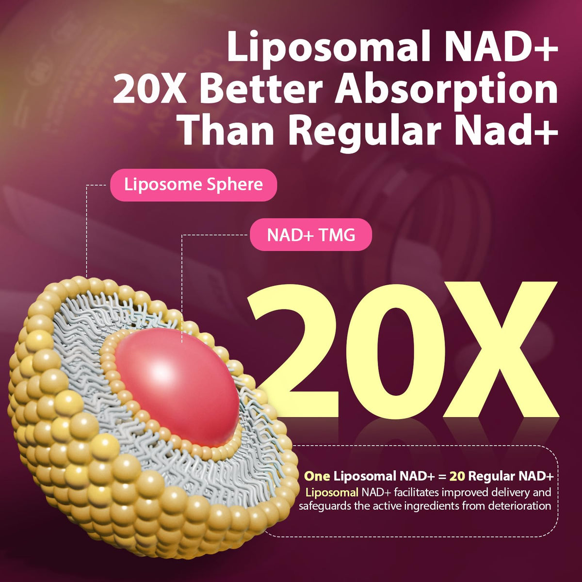 Sizyok Complément Alimentaire NAD+ Liposomal 2464mg capsules sur table