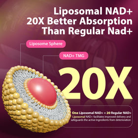 Sizyok Complément Alimentaire NAD+ Liposomal 2464mg capsules sur table