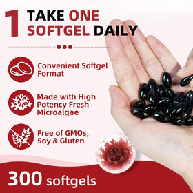 Skiseoy Astaxanthin 24mg gélules, illustration des ingrédients
