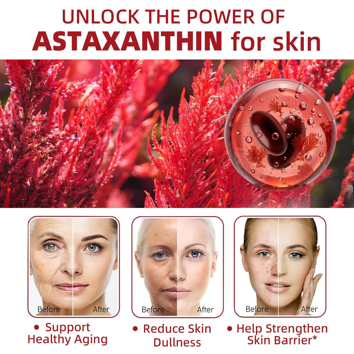 Skiseoy Astaxanthin 24mg gélules, vue arrière de l'emballage