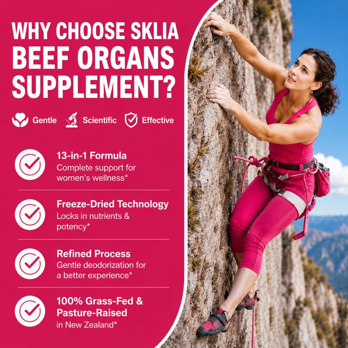 SKLIA Complément Alimentaire Organes de Bœuf 120 Capsules avec ingrédients
