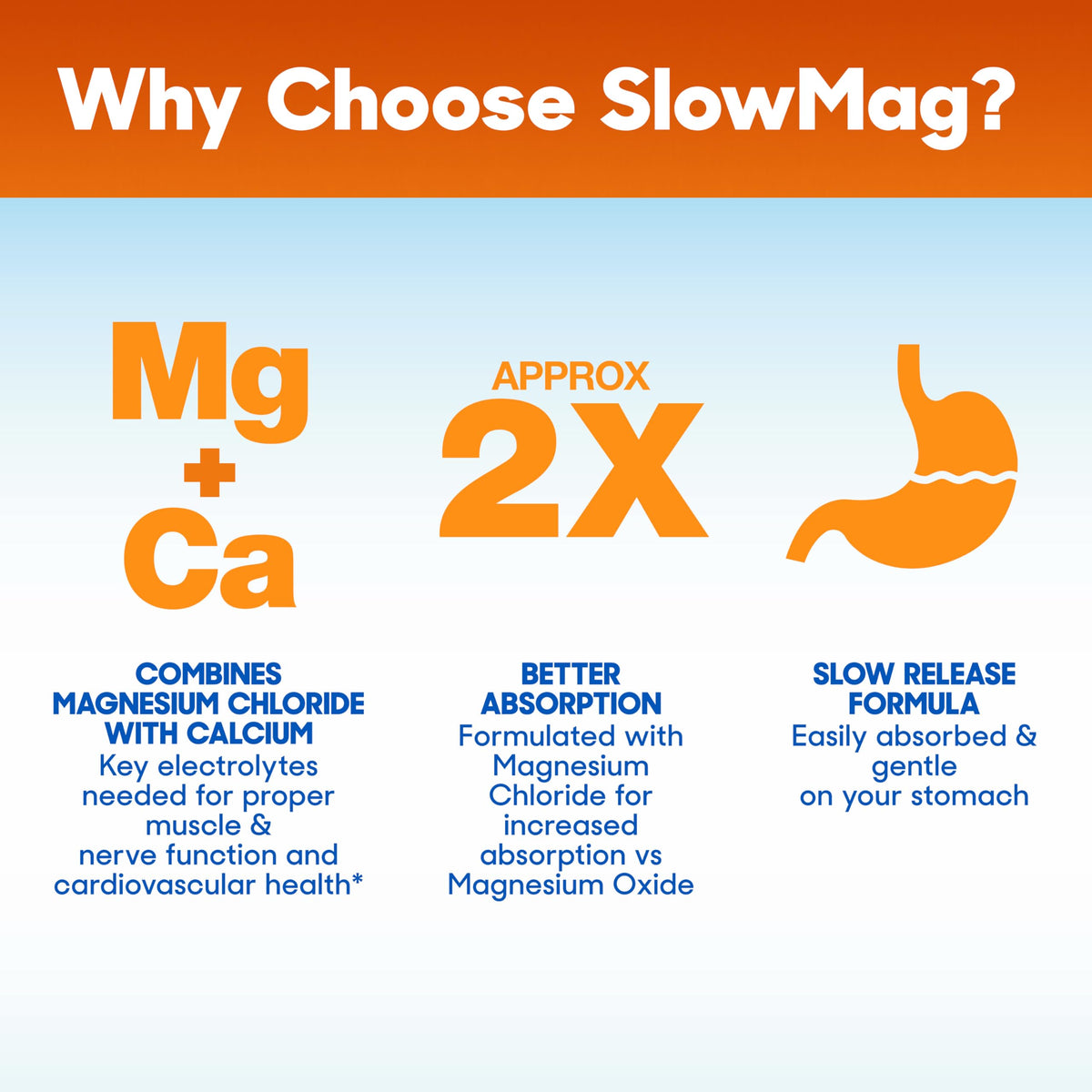 Slow-Mag comprimés en gros plan montrant la texture
