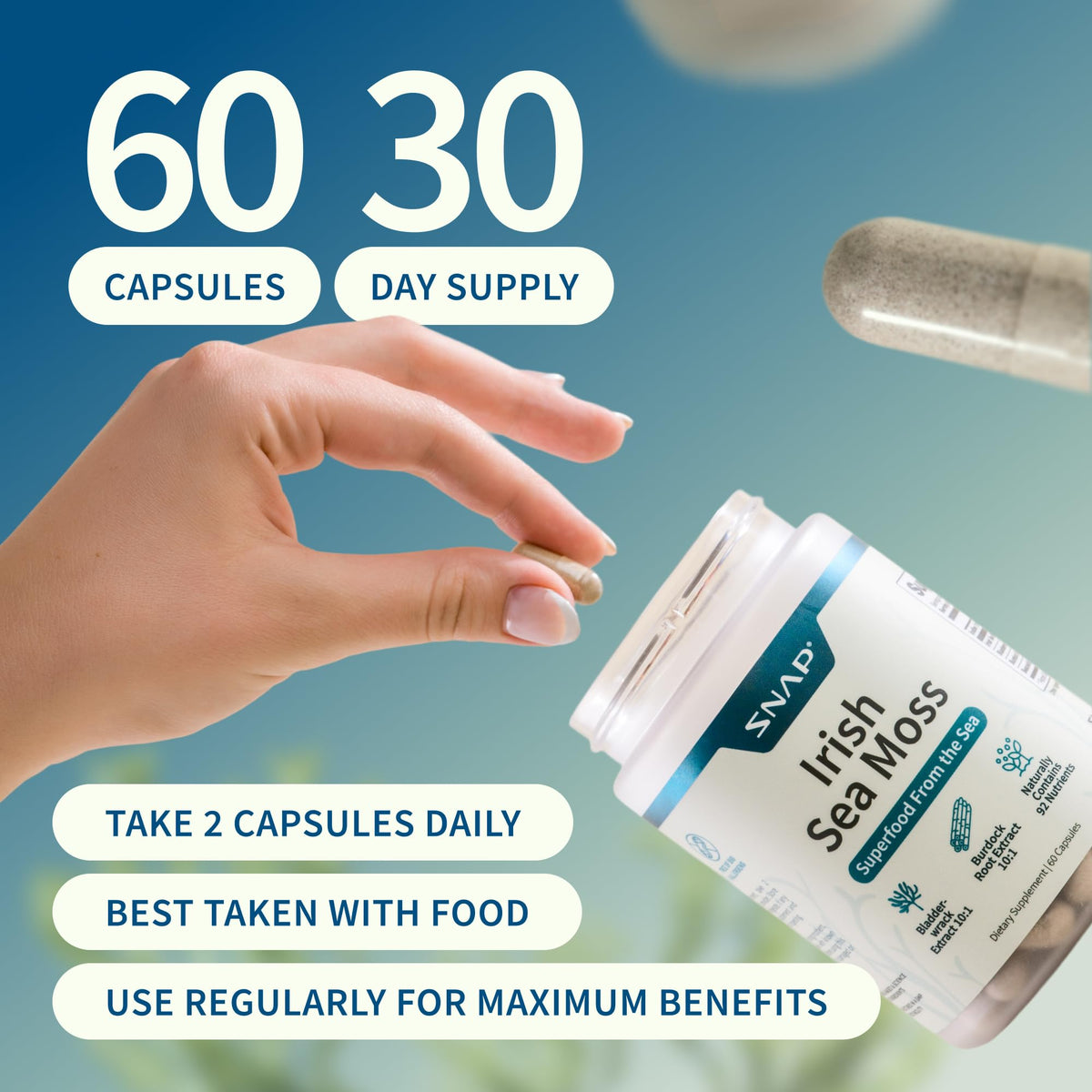 Snap Supplements Irish Sea Moss - détails des ingrédients