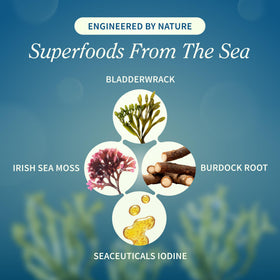Snap Supplements Irish Sea Moss - étiquette de près