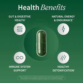 Snap Supplements Spiruline et Chlorelle, capsules à l'intérieur du flacon