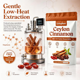 Softgels de Canelle de Ceylan LivingRoot disposés dans un bol