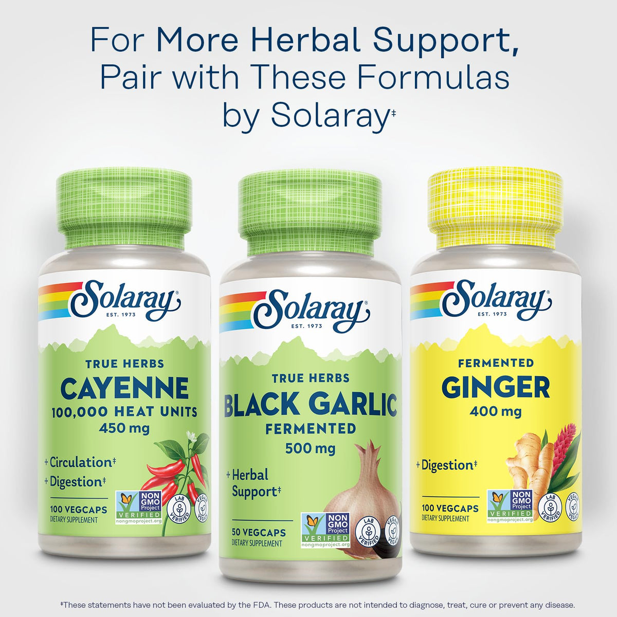 SOLARAY Ail Noir 500 mg capsules en gros plan