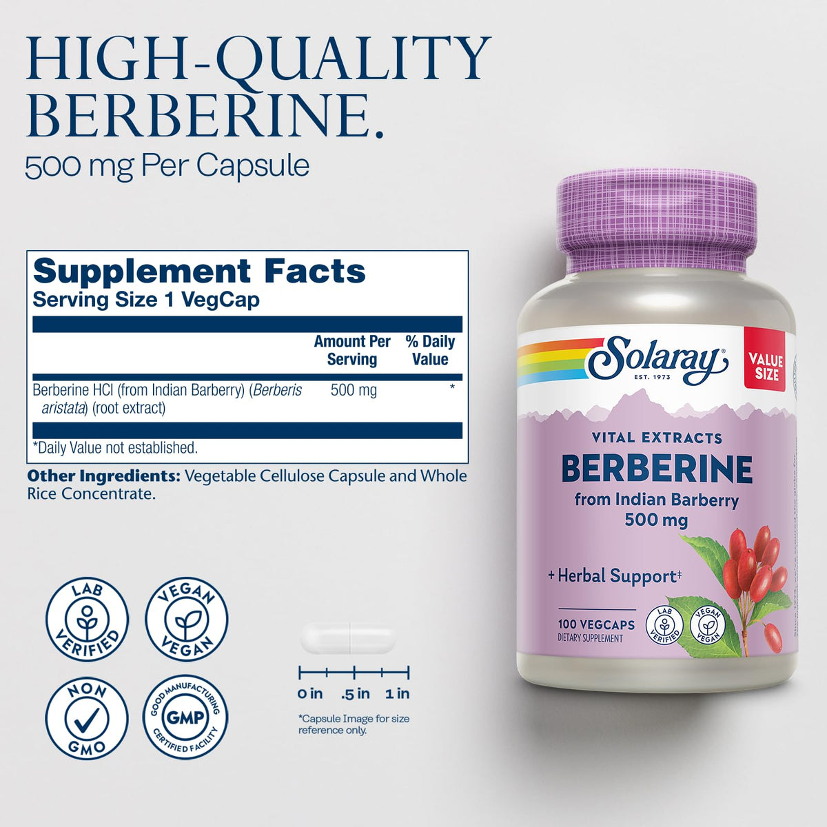SOLARAY Berberine 500mg étiquette affichant les ingrédients