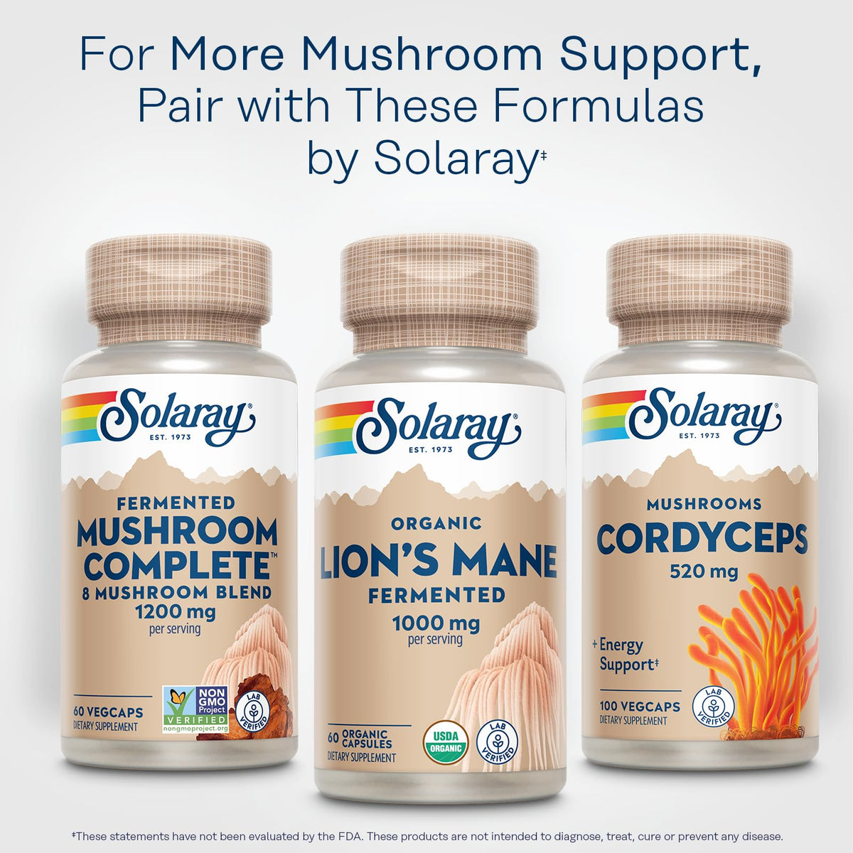 SOLARAY Champignon Lion's Mane Bio sur un fond naturel