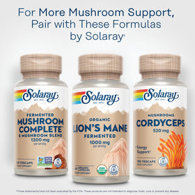 SOLARAY Champignon Lion's Mane Bio sur un fond naturel
